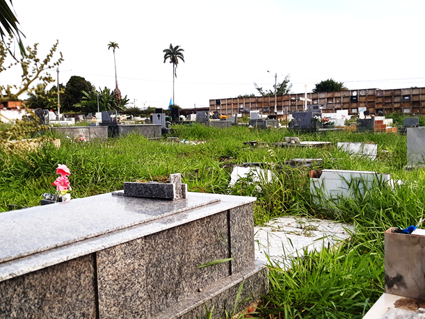 Cemitério de Santo A. de Jesus apresenta sinais de abandono