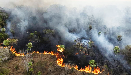 Semana de queimadas teve saltos de 338% em SP e 236% em MT nos registros de incêndio