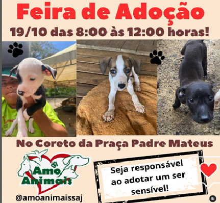 ONG Amo animais faz doação de Pets na praça Padre Mateus nesse sábado