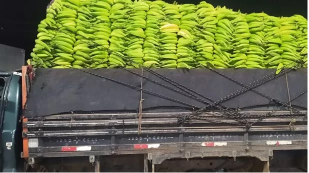F-4000 carregada de bananas é retida em Santo Antônio de Jesus
