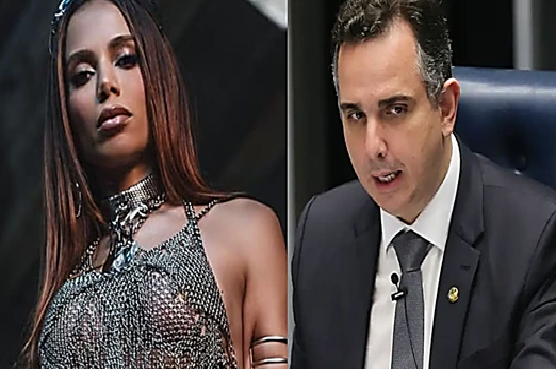 Anitta recebe ligação de presidente do Senado para discutir questões ambientais: "Espero que consiga fazer algo"